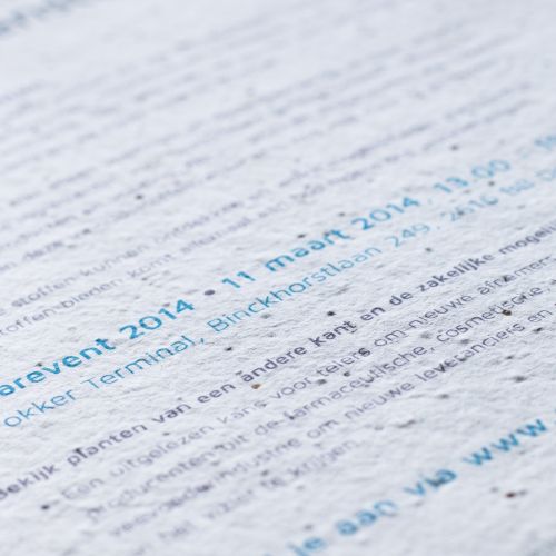 Samenpapier DIN A4 | 200 g/m² - Bild 3